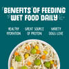 Weruva Funky Chunky Chicken Soup with Pumpkin Canned Dog Food