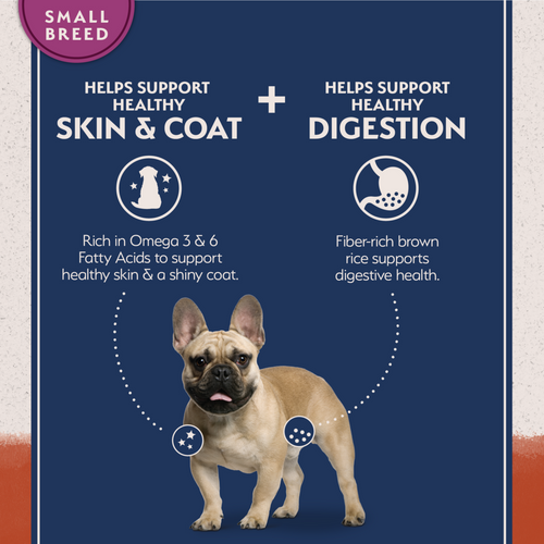 Natural Balance Limited Ingredient Grain Free Salmon & Sweet Potato Small Breed Recipe Dry Dog Food
