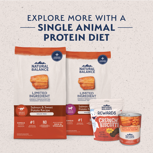 Natural Balance Limited Ingredient Grain Free Salmon & Sweet Potato Small Breed Recipe Dry Dog Food