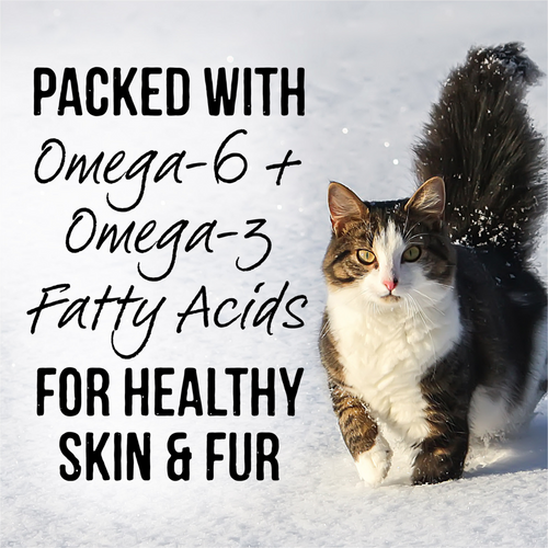 Merrick Backcountry Grain Free Gluten Free Premium High Protein Wet Cat Food, Duck Recipe Cuts With Gravy
