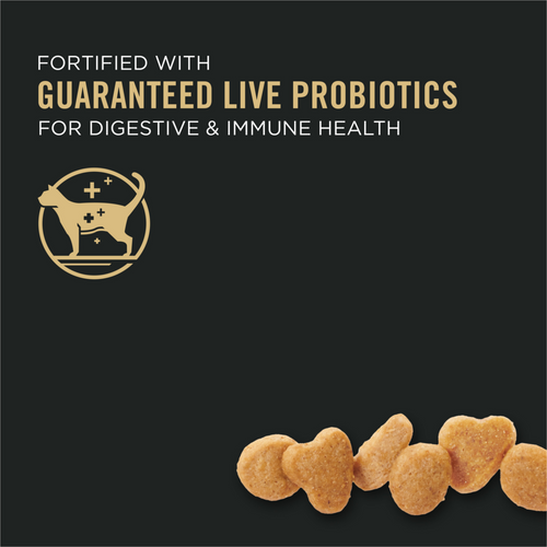 Purina Pro Plan Focus Probiotics Sensitive Skin & Stomach Turkey & Oat Meal Natural Dry Cat Food