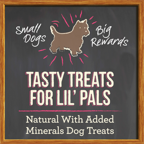 Merrick Lil' Plates Grain Free Small Salmon Dog Treats
