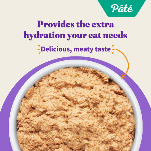 Halo Grain Free Indoor Cat Chicken Pate Canned Cat Food