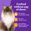 Halo Grain Free Indoor Cat Chicken Pate Canned Cat Food