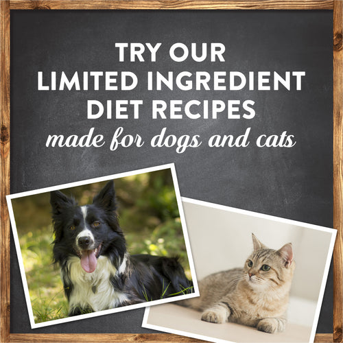 Merrick Limited Ingredient Diet Dry Dog Food Real Salmon & Brown Rice Recipe with Healthy Grains