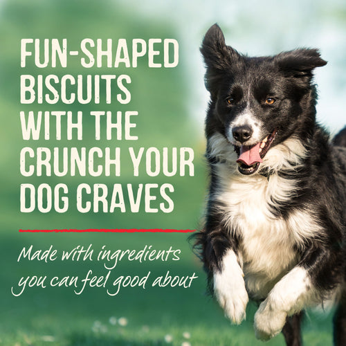 Merrick Oven Baked Paw'some Peanut Butter Dog Treats
